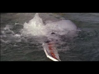 Freaky Friday (1976 Original)