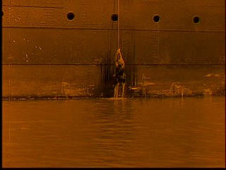 La SirÃ¨ne des tropiques