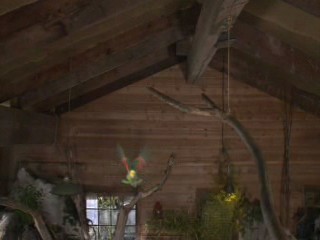 Dr. Dolittle: Tail to the Chief