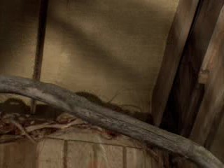 Dr. Dolittle: Tail to the Chief