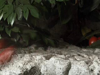 Dr. Dolittle: Tail to the Chief