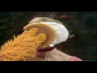 Sandy Duncan, The Muppets