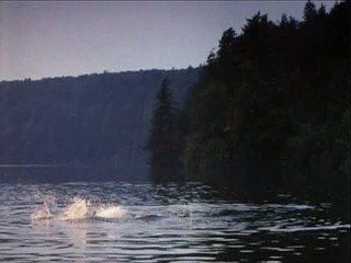 Dirty Dancing - Jennifer Grey