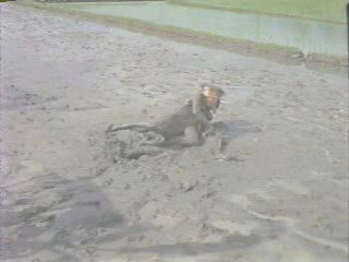 The Big Bird Cage; muddy Pam Grier