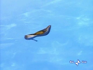 Tutte Donne Tranne Me