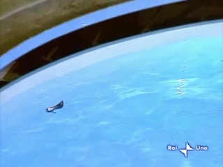 Tutte Donne Tranne Me