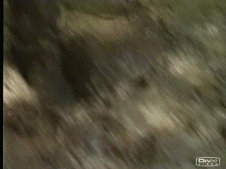 Maid Marian and Her Merry Men,  Pie-o-gram,  Slime Time Live