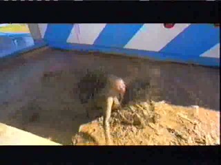 Wipeout World Cup Course 2