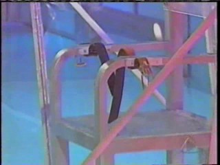 La Guerra de los Sexos