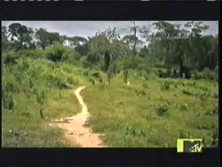 Real World Road Rules Challenge