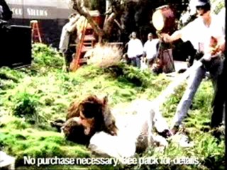 Doritos Foaming/ Michelle Rodriguez Caked/ Jill Sobule Slimed