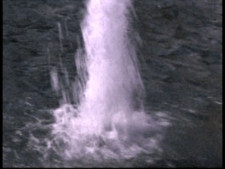 Janice Dickerson wet