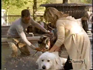 Just A Walk in The Park