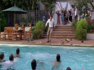 Brothers and Sisters - wedding pool party