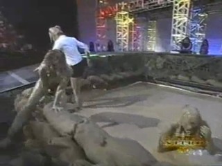 WWE Nitro