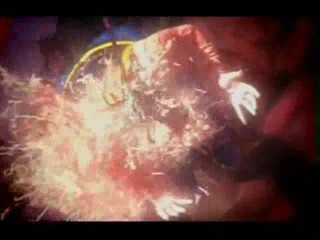 101 Ways to Leave a Gameshow