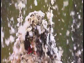 Lithuanian Sing if You Can