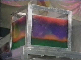 Pamela gunged on NESR