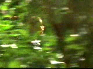 Invasion; Alexis Dziena - lake swim