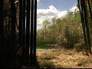 Invasion; Alexis Dziena - lake swim