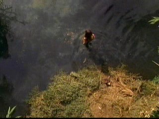 Invasion; Alexis Dziena - lake swim