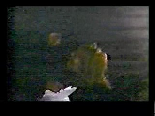 TV Movie,  Wonder Woman,  China Beach