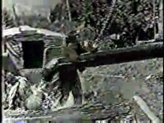 Whoopi Goldberg movie, Silent movies