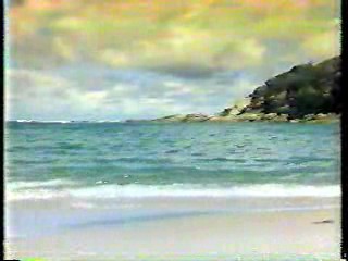 Trouble in Paradise,  Fantasy Island