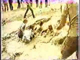 M*A*S*H,  Mud Tug-o-War