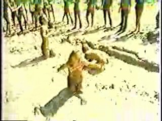 M*A*S*H,  Mud Tug-o-War