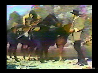 Vintage Westerns (2),  Overboard