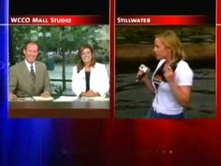 Newsreporter Logrolling