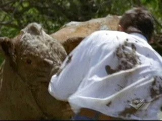 Wendy Crewson in the movie  'Twelve Mile Road'