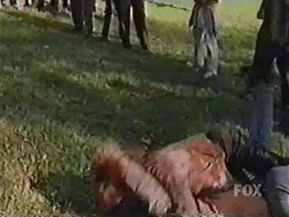 Macolm In The Middle mudfight