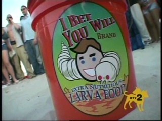 I Bet You Will Human Cocoon