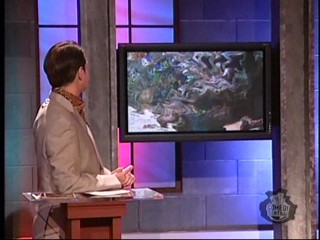 Distraction Eggs on Head