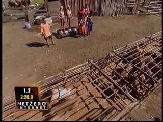 Fear Factor Pig Pen Race