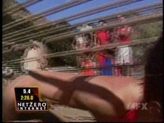 Fear Factor Pig Pen Race