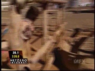 Fear Factor Pig Pen Race