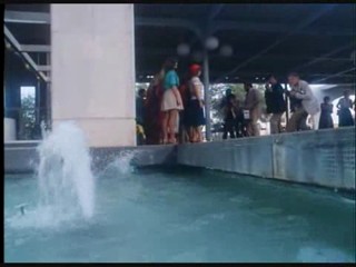 Miss All-American Beauty