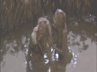 A Midsummer Night's Dream