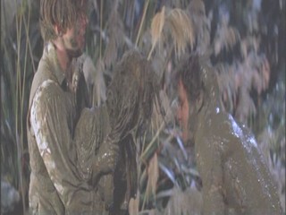 A Midsummer Night's Dream