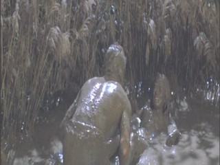 A Midsummer Night's Dream