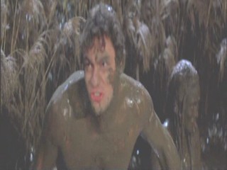 A Midsummer Night's Dream