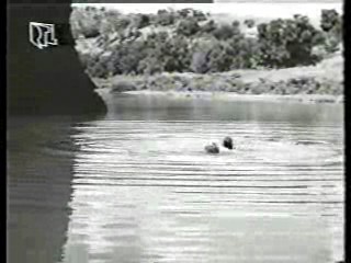 Vintage European Films (2)