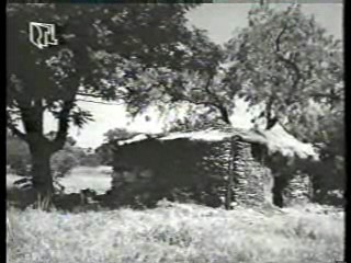 Vintage European Films (2)