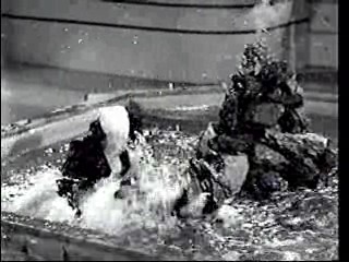 The Guerins from Brooklyn