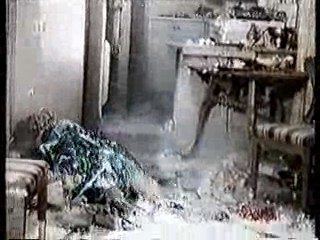 The Long Long Trailer