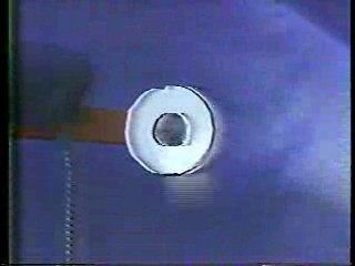 Lure of the Swamp,  Anything For Money