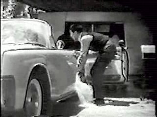 The 3 Stooges,  Who's Minding the Store